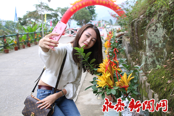 标本与科普陈列