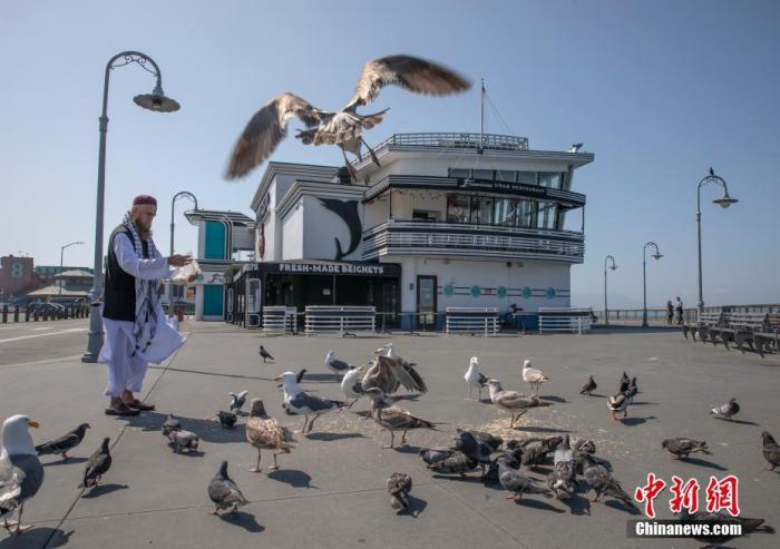 当地时间4月12日，美国旧金山市民在渔人码头喂鸟。<a target='_blank' href='http://www.chinanews.com/'>中新社</a>记者 刘关关 摄