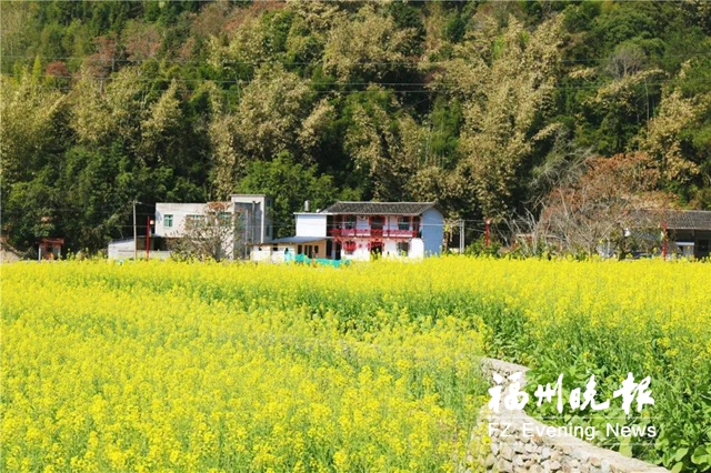 福州：踏春赏花季  “乡”约打卡去