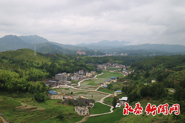 县领导赴大洋镇开展调研视察活动 -今日要闻 -永泰新闻网