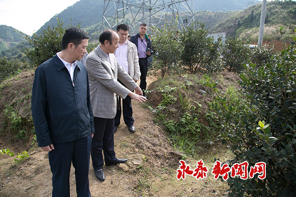 市委常委,市纪委书记修兴高赴永泰调研嵩口古镇